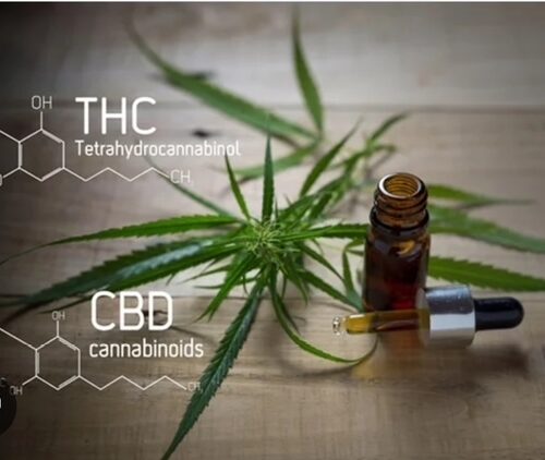 Hemp, CBD, THC Drinks & Gummies